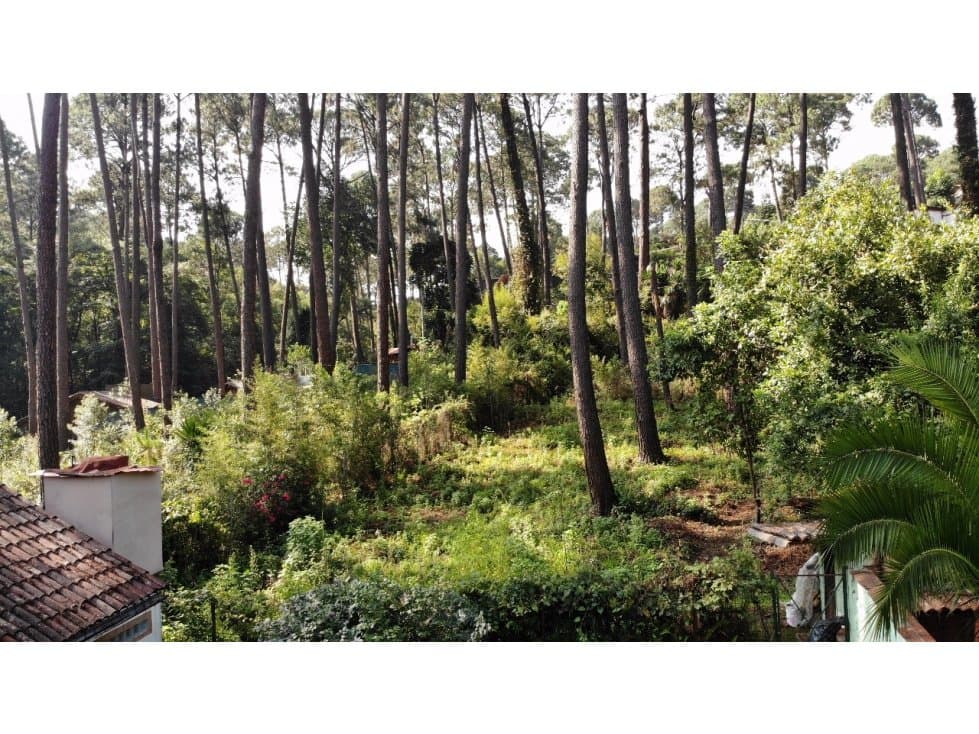 TERRENO FONTANA BELLA — foto 3