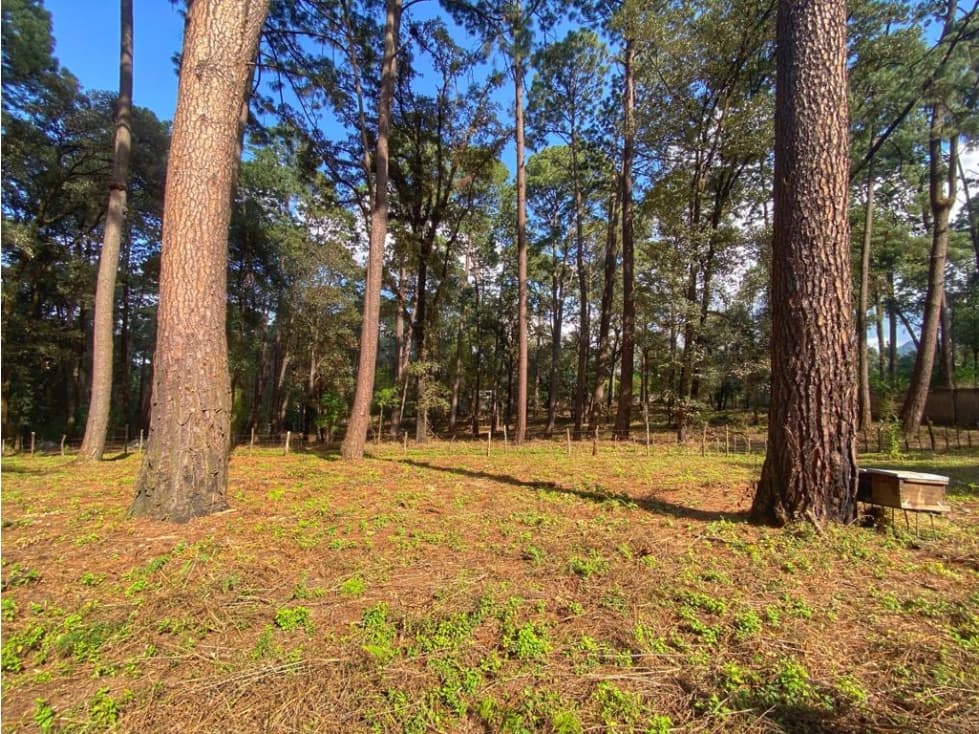 TERRENO EN VENTA EN AVÁNDARO, VALLE DE BRAVO — foto 5