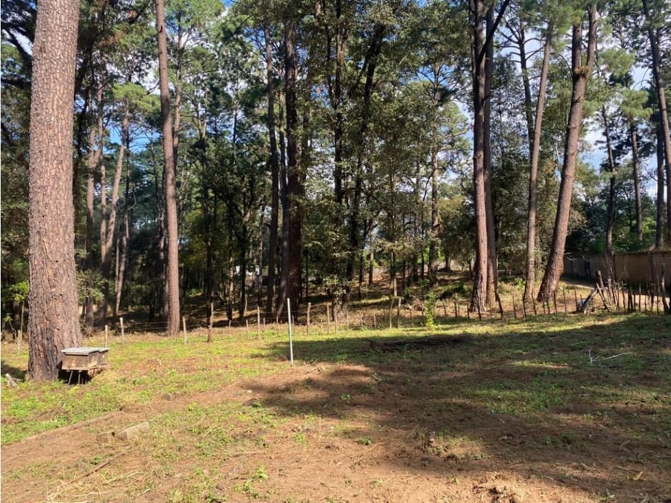 TERRENO EN VENTA EN AVÁNDARO, VALLE DE BRAVO — foto 6