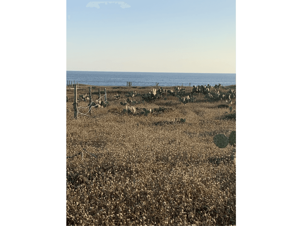 HERMOSO TERRENO A METROS DEL MAR — foto 4